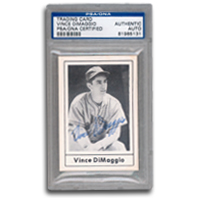 Vince DiMaggio